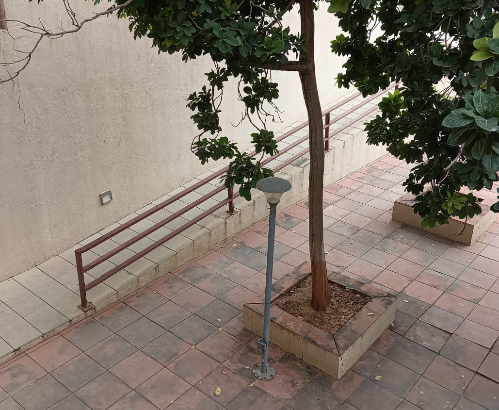 PDEU Campus photo 54